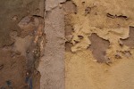 IMG_2653